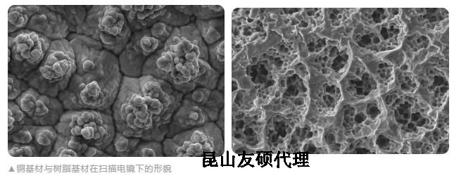 昆明蔡司昆明扫描电镜